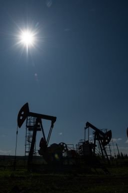 Oil pump jacks outside Almetyevsk, Russia, on July 14.