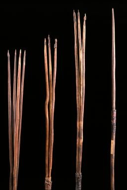 Four surviving 1770 Gweagal Spears.