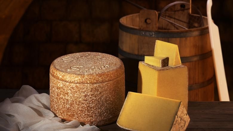 salers cheese